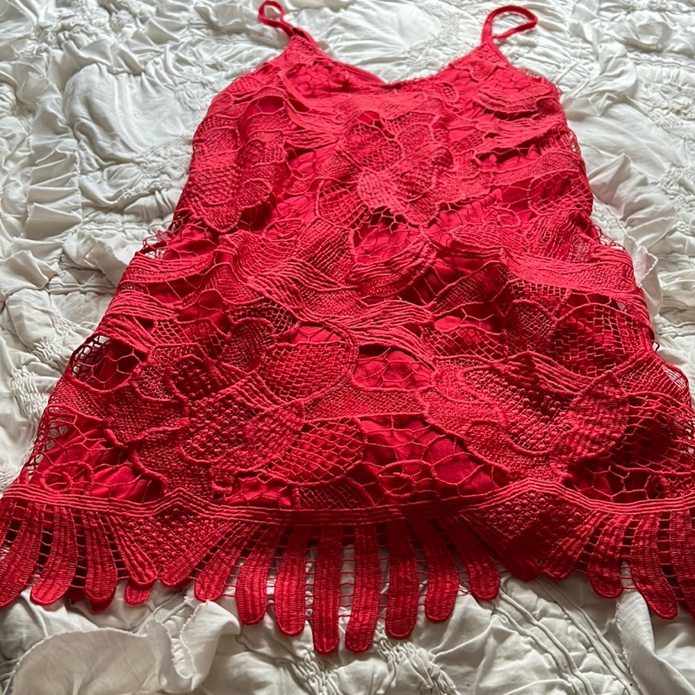 Express lace mini dress